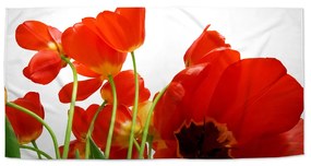 Sablio Uterák Tulipány - 50x100 cm