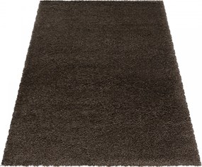 Ayyildiz, AKCIA: 120x170 cm Kusový koberec Fluffy Shaggy 3500 brown, hnedá, obývacia izba