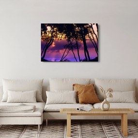 Obraz - Stromy pri západe slnka (90x60 cm)
