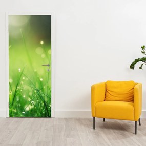 Fototapeta na dvere - Rosa na tráve (95x205cm)