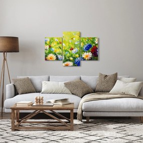 Obraz rozkvitnutej lúky, olejomaľba (90x60 cm)