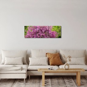 Obraz rozkvitnutého stromu na lúke (s hodinami) (90x30 cm)