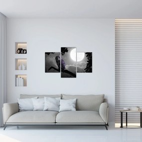 Obraz - Nočná sova, fialová sova (90x60 cm)