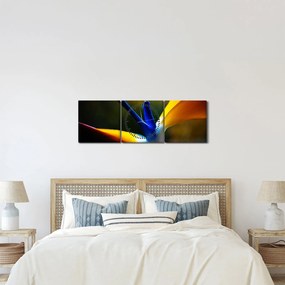 Obraz - Exotický kvet (s hodinami) (90x30 cm)