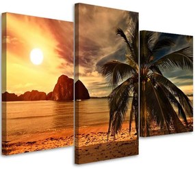 Gario Obraz na plátne Tropická pláž - 3 dielny Rozmery: 60 x 40 cm