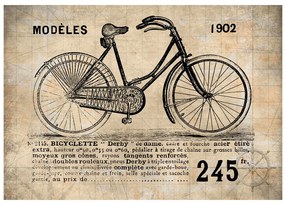 Artgeist Fototapeta - Old School Bicycle Veľkosť: 350x245, Verzia: Standard
