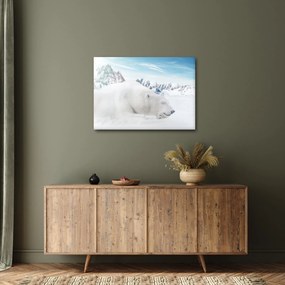 Obraz - Ľadový medveď (70x50 cm)