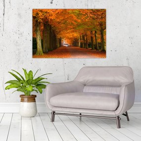 Obraz - Jeseň Alej stromov (90x60 cm)