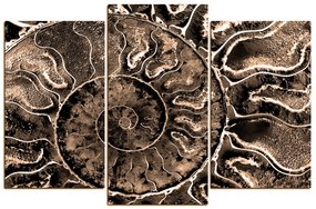Obraz na plátne - Textúra fosílie 1174FC (105x70 cm)