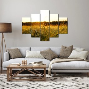 Obraz orosenej trávy (150x105 cm)