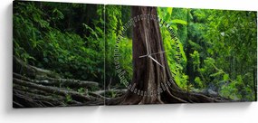 Obraz - Starý strom s koreňmi (s hodinami) (90x30 cm)