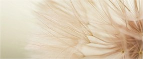Obraz - Detaily kvetu (120x50 cm)