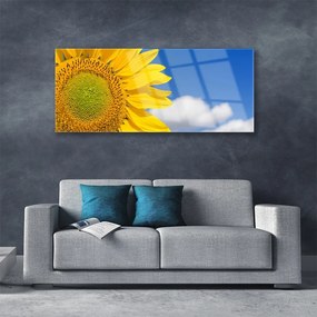 Obraz na akrylátovom skle Slnečnica mraky 125x50 cm