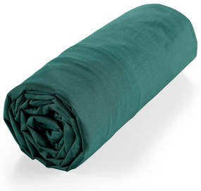 Zelená napínacia plachta z Bio bavlny 180x200 cm Biolina – douceur d'intérieur