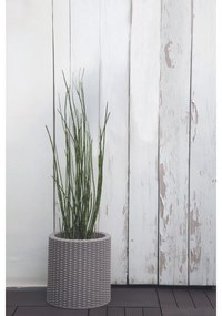 Keter Obal na kvetináč Cylinder Planter S sivá, 7 l, 28 x 28 x 28,3 cm