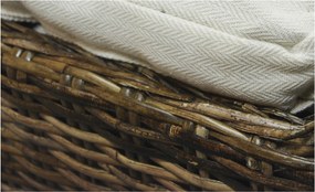 Sconto Kreslo WING hnedá/krémová