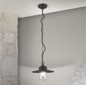 Orion AL 11-1318 - Vonkajšie závesné svietidlo EDWARD 1xE27/60W/230V IP44 antracit
