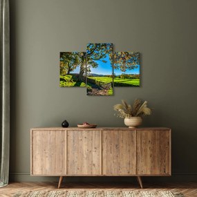 Obraz - Výhľad na pole (90x60 cm)