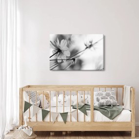 Obraz - Čiernobiele kvety (90x60 cm)
