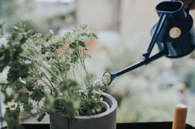 HAWS Plastová kanvička s kropítkom Langley Blue 700 ml