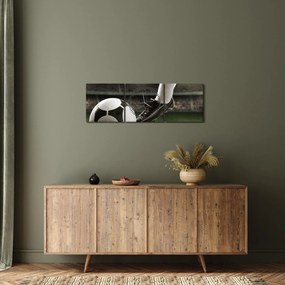 Obraz - Futbalová lopta (s hodinami) (90x30 cm)