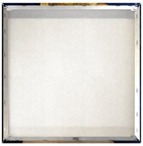 Obraz 60x60 cm Cobalt Women - Styler