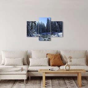 Obraz zasneženého lesa (90x60 cm)