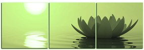 Obraz na plátne - Zen lotus - panoráma 5167ZB (90x30 cm)