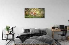 Obraz na plátne Psie lesné kvety 140x70 cm