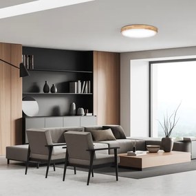 Solight WO8010- LED Stm. svietidlo SOLID OAK LED/60W/230V 3000-6500K pr. 51 cm+DO