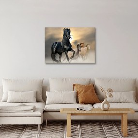Obraz - Kone (70x50 cm)