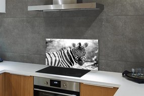 Nástenný panel  retro zebra 120x60 cm