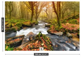 Fototapeta Vliesová Lesná rieka 104x70 cm