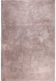 Dekoratívny koberec Shaggy Wellness 200 x 300 cm ružový