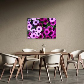 Sklenený obraz - Kvety (70x50 cm)