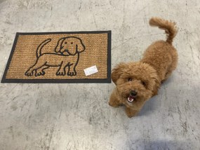 BO-MA, Rohožka Kokos + guma pes – na von aj na doma, 40x70, hnedá, chodba / predsieň