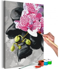 Obraz - maľovaný podľa čísel Pink Orchid