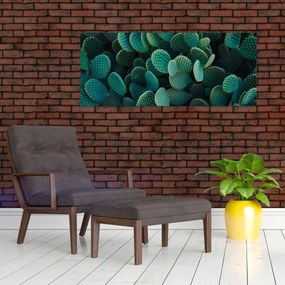 Obraz - Opuncie (120x50 cm)