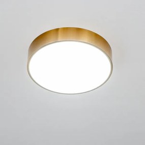 Brilagi - LED kúpeľňové stropné svietidlo POOL LED/24W/230V pr. 30 cm IP54 bronz