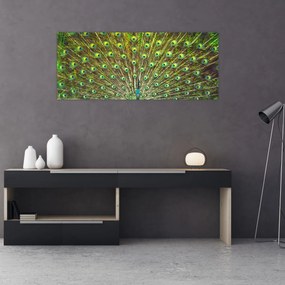 Obraz - Páv (120x50 cm)