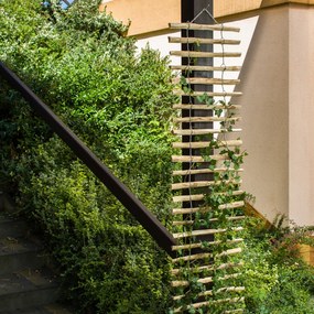 Závesná podpera pre popínavé rastliny - rebrík, 50 x 200 cm
