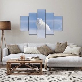 Obraz - Polárna líška (150x105 cm)