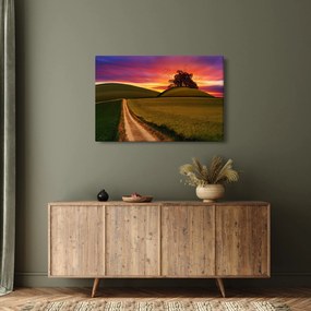 Obraz poľa a farebného neba (90x60 cm)