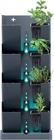 PROSPERPLAST Vertikálne kvetináče s nožnicami na bylinky MINI CASCADE antracit