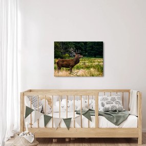 Obraz jeleňa (70x50 cm)