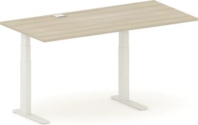 Výškovo nastaviteľný stôl FUTURE, 170x80 cm, 2 motory, biela podnož, dub prírodný