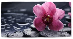 Sablio Uterák Orchidea - 30x50 cm
