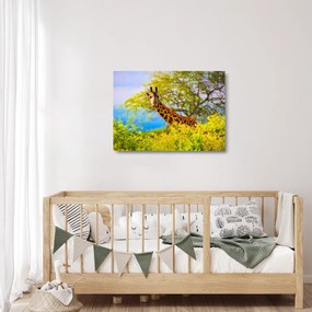 Sklenený obraz žirafy v Afrike (70x50 cm)