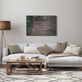 Obraz - Brečtan (90x60 cm)