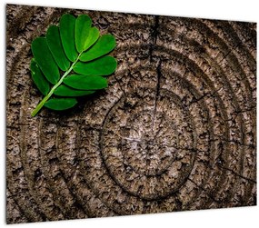 Sklenený obraz listu na kmeni stromu (70x50 cm)